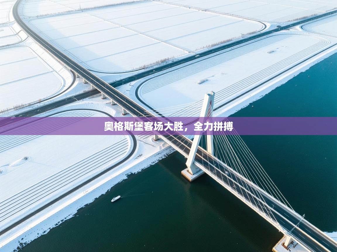 奥格斯堡客场大胜,全力拼搏 第1张