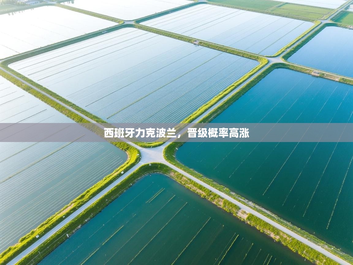 西班牙力克波兰，晋级概率高涨  第1张