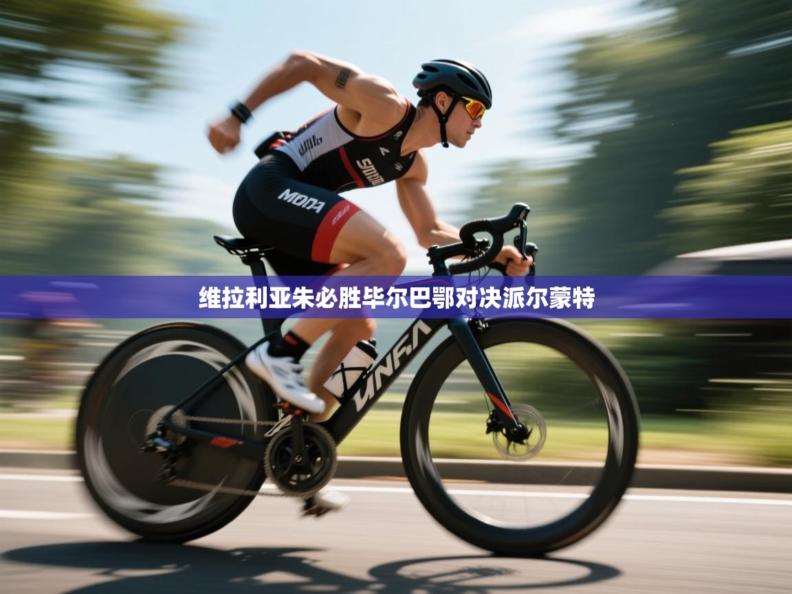 维拉利亚朱必胜毕尔巴鄂对决派尔蒙特  第2张